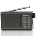 DAE-RADIO DW1035