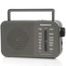 DAE-RADIO DW1121