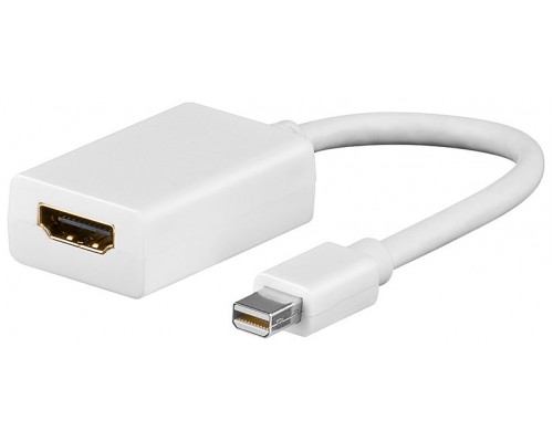 Cable adaptador ewent mini display port