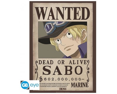 Poster gb eye one piece wanted