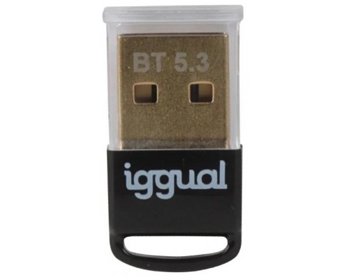 iggual Adaptador USB 2.0 mini Bluetooth 5.3