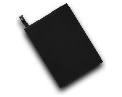 Pantalla LCD iPad Mini (Espera 2 dias)
