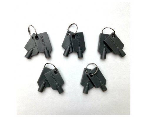 QNAP KEY-02-10PCS accesorio de bastidor Llave de cierre (Espera 4 dias)