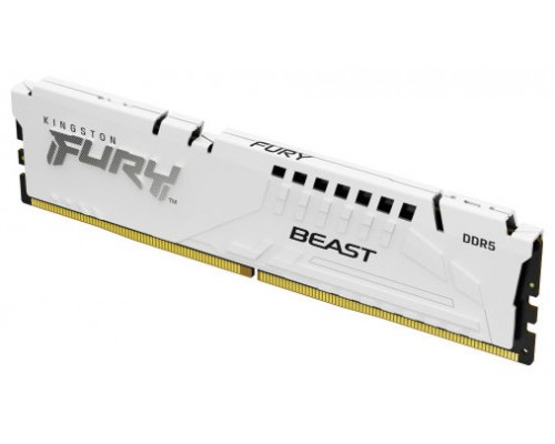 Kingston Technology FURY Beast módulo de memoria 16 GB 1 x 16 GB DDR5