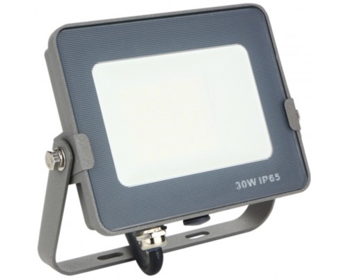 Foco led silver electronics forge+proyector ips