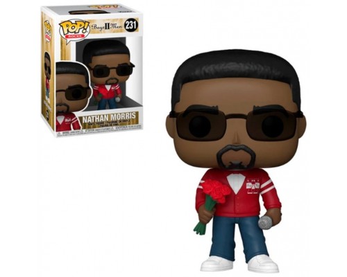 Funko pop estrellas la musica boyz