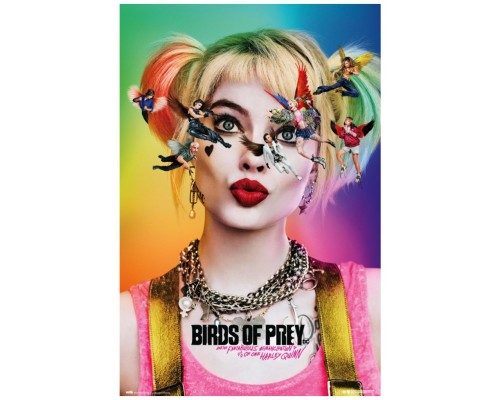 Poster birds of prey dazed and