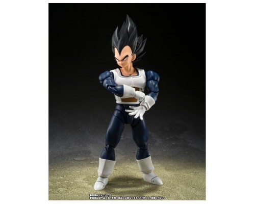 Vegeta - old battle clothes -  fig. 14