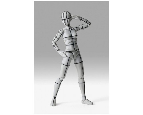Body chan - sports edition wire frame -