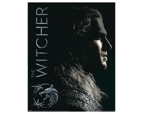 MINI POSTER (SHADOWS EMBRACE) THE WITCHER PYRAMID REDSTRING MPP50789