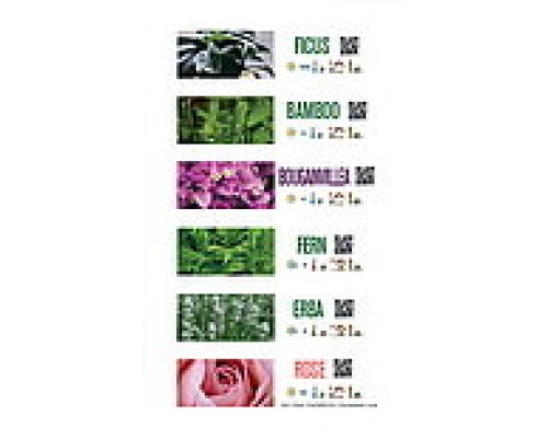 Floralabels Etiquetas de lazo 33x250 mm, 6 por hoja OKIMED32