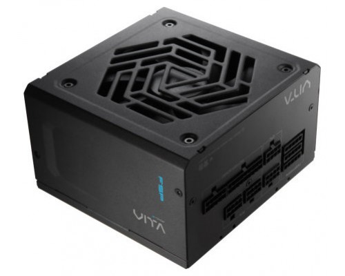 FSP VITA GM 1000W unidad de fuente de alimentación 20+4 pin ATX ATX Negro