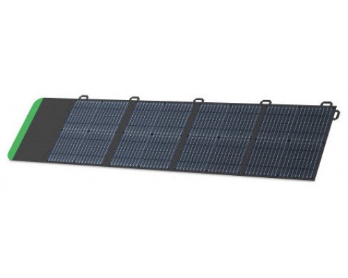 APC PSP100 placa solar 100 W Silicio monocristalino