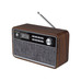 RADIO SUNSTECH RPBT500WD-SX7 RADIO SUNSTECH RPBT500WD