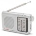 Radio portatil aiwa rs - 55 plata