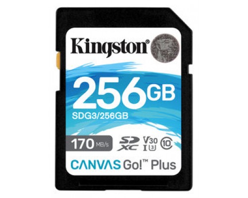 MEMORIA SD 256GB KINGSTON SDXC CANVAS GO PLUS 170R C10 ·