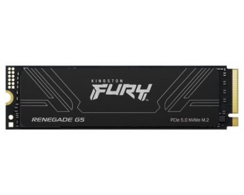 Kingston Technology 2T FURY RENEGADE G5 M.2 2280 NVMe SSD