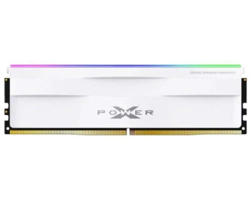 SP MEMORIA DDR5-5600,C40,RGB-UDIMM,16GB SR