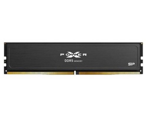 SP DDR5-6000,C36,OC-UDIMM,16GBx1 GAMING