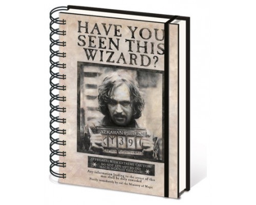 CUADERNO A5 CON ESPIRAL SIRIUS BLACK BUSCADO 21 X 15 CM PYRAMID INTERNATIONAL REDSTRING SR72252