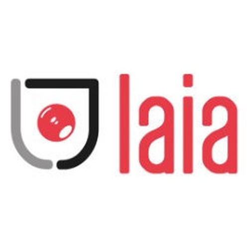 LAIA SOPORTE UNIVERSAL DE PARED DE HIERRO NEGRO GALVANIZADO (SWM)-MR12 LAIA SOPORTE UNIVERSAL DE PARED DE HIERRO NEGRO GALVANIZADO (SWM)
