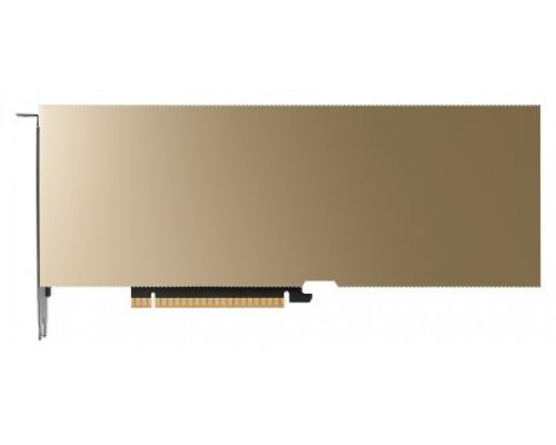 PNY L40S NVIDIA 48 GB GDDR6
