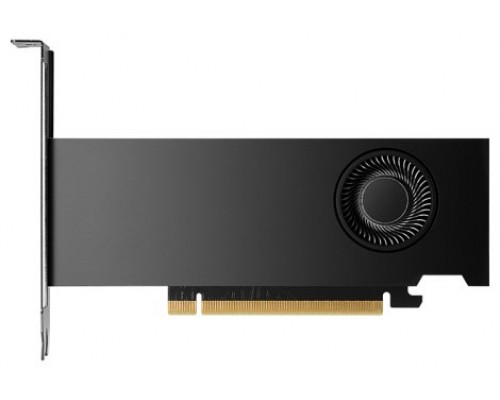 PNY NVIDIA RTX 2000 Ada Generation 16 GB GDDR6