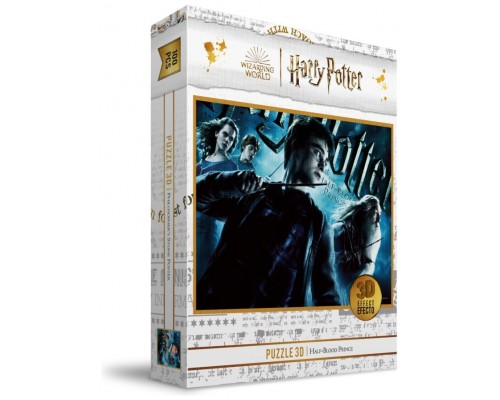 Puzle 100 efecto 3d poster harry